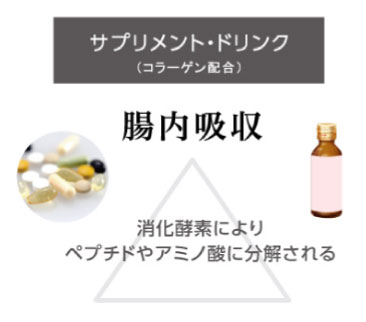 サプリンメント・ドリンク：腸内吸収